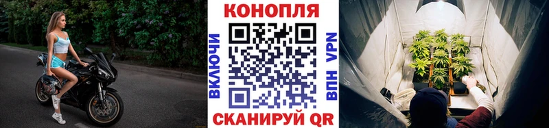 Конопля конопля  Няндома 
